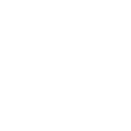 Next.js