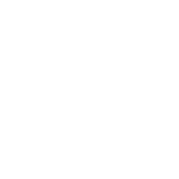 Google AI Studio