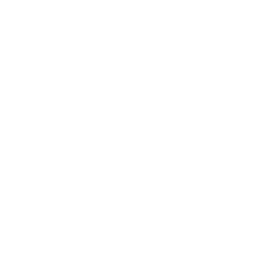 DeepSeek