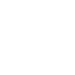 JSON