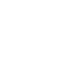 Nginx