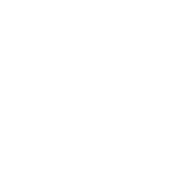 Mongoose ODM