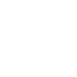 Seedance 2.0