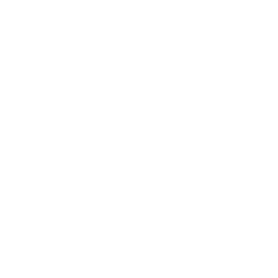 HTML5