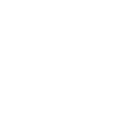 Rask AI
