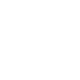 Veo 3.1
