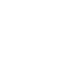 CSS