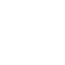 Leonardo AI