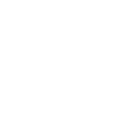 Redis