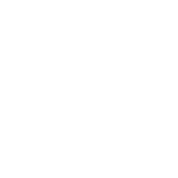 Suno