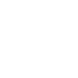 Vue.js