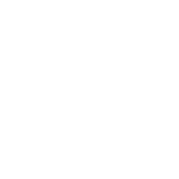 Perplexity